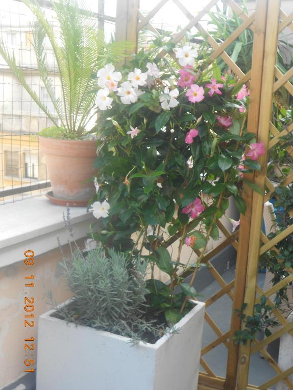 The Loft Guest House Rome Exterior photo